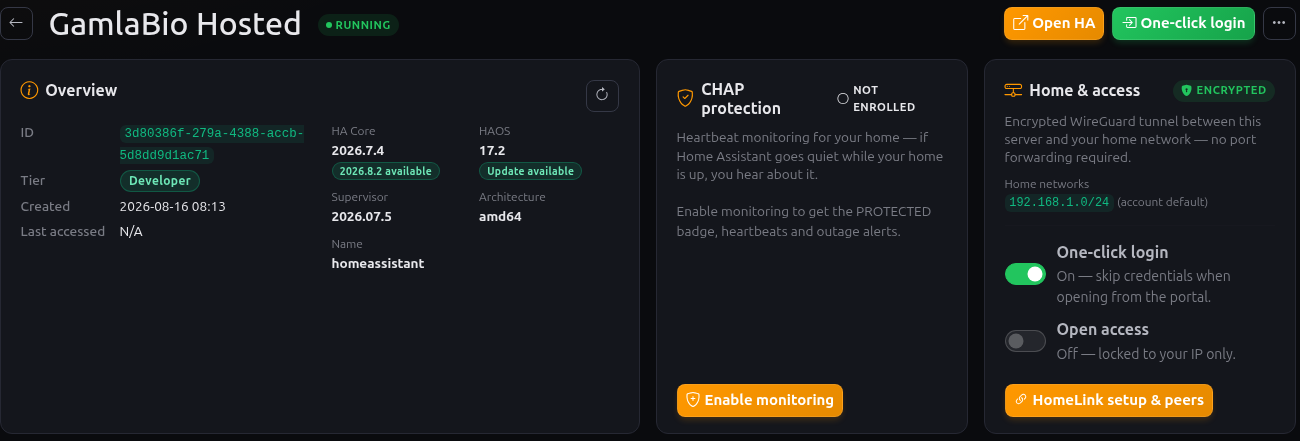 The hosted server overview showing a running Home Assistant and an encrypted tunnel home